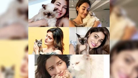 Celebrities, offering an insight into everything of the stars' lives, including pets (Photo: IANS)
