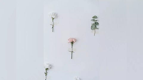 Representative Image (Photo: ANI)