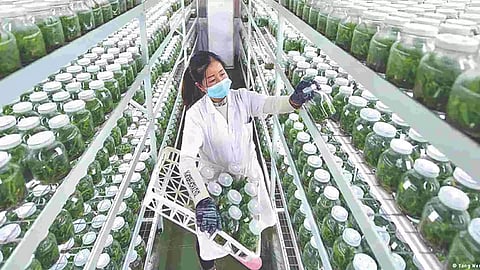 Representative Image