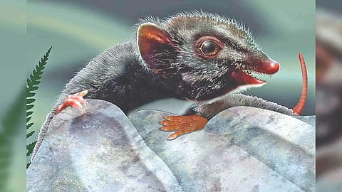 Representative Image