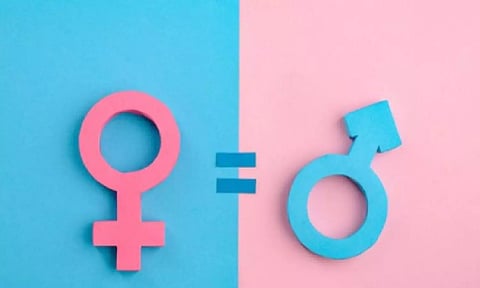 No country achieved full gender parity: UN