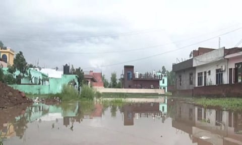 Visuals from the spot