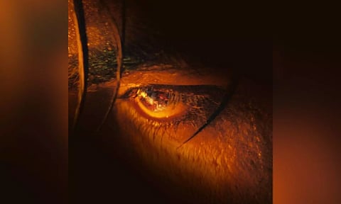 ‘Jawan’ makers give sneak-peek to Vijay Sethupathi’s ‘furious eyes’