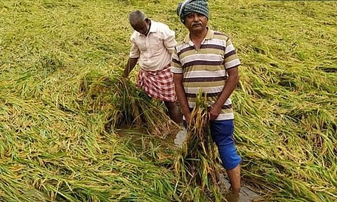 Major relief to farmers as TN govt introduces early subsidy plan to purchase agri machineries