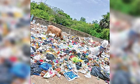 The open space near the lake has become a free-for-all to dump waste