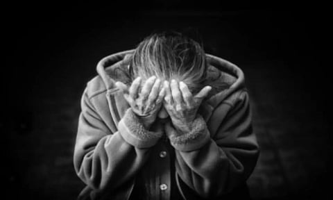 Probiotics may help slow age-related cognitive decline