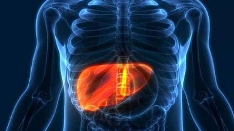 Representative Image (Photo: IANS)