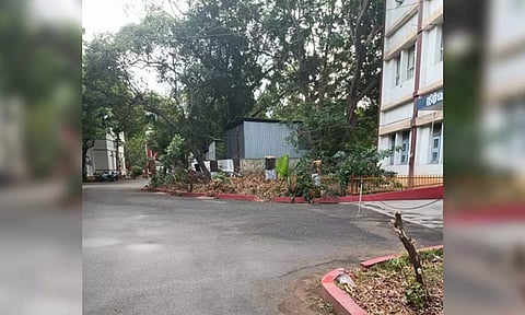 Stumps of trees that were cut down inside the Chengalvaraya Naicker Polytechnic College