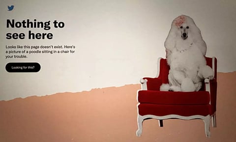 Representative Image (IANS)