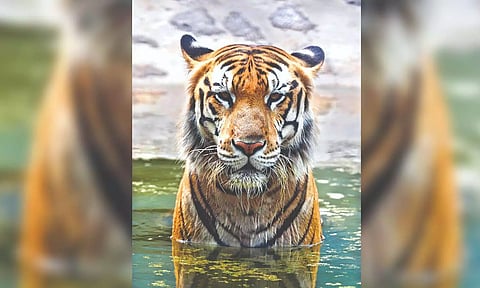 Representative image (Photo Credits: Justin Goerge)