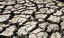 Representative image (IANS)