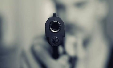 Representative Image (ANI) 