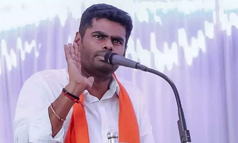 Tamil Nadu BJP president K Annamalai (File)