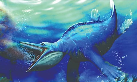 Based on these findings, Hupehsuchus appears to be the earliest known example of a filter-feeding, four-limbed vertebrate. 