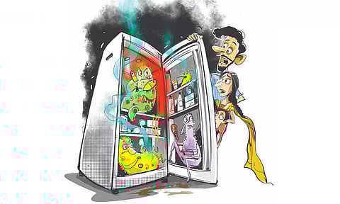 Experts opine that majority of Indian dishes have fibres, salt & sour elements that act as natural preservative elements. (Illustration by Saai)