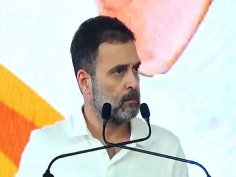 Rahul Gandhi (ANI)