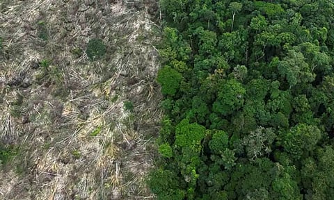 Representative Image (Photo:ANI)