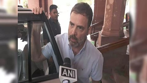 Congress leader Rahul Gandhi (Photo/ANI)