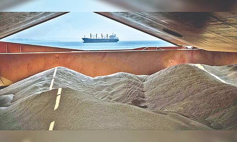 Each year, the world produces about 750 million tons of wheat and 1.1 billion tons of maize.