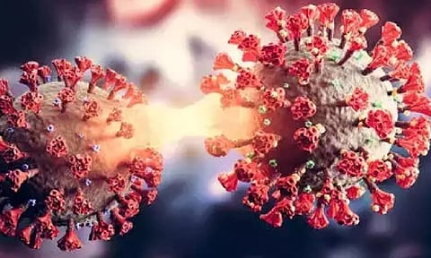 Representative Image (IANS)