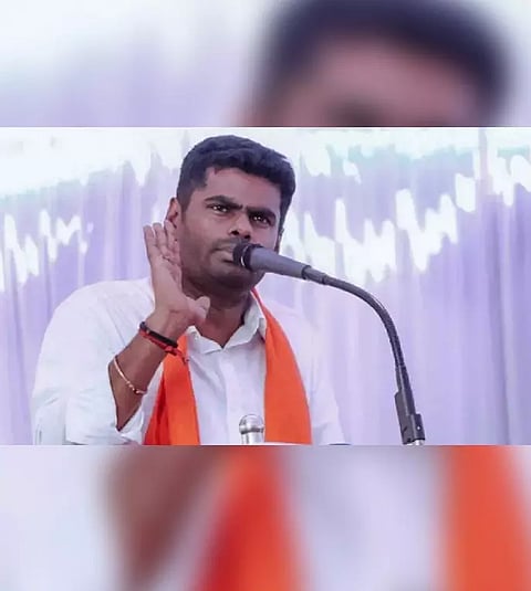 Tamil Nadu BJP chief K Annamalai (File)