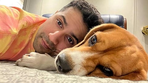 Varun drops glimpse of ‘Sundayzzz’ with Joey; 'cutest duo', say fans