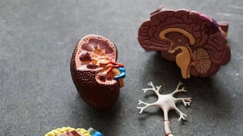 Representative Image (Photo: IANS)