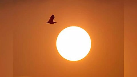 Representative Image (Photo: IANS)