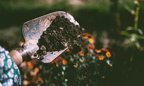 Representative Image (Photo:ANI)