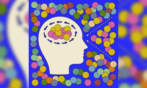 Equity of Algorithms: What you were missing on social media