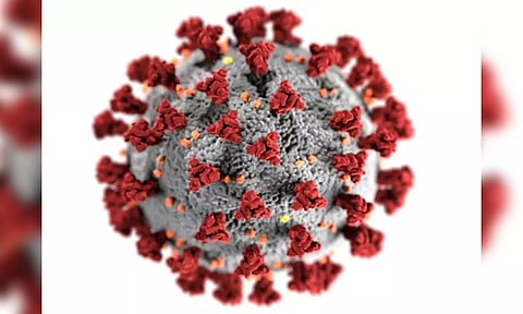 Representative image