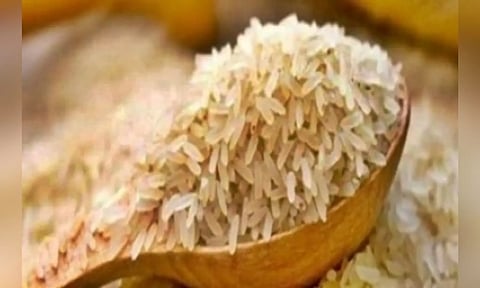 Despite crop loss over drought, Sri Lanka rules out rice shortage