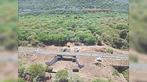 Southern Railway’s first elephant underpass in Coimbatore