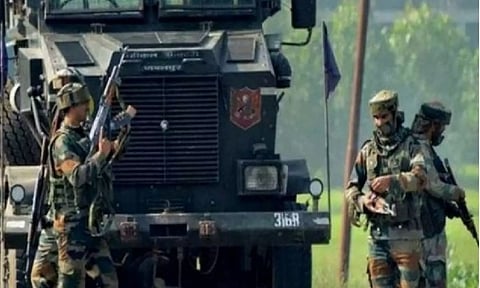 Representative image (ANI)