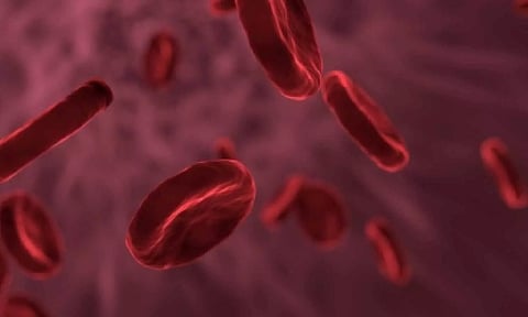 Representative Image (Photo : IANS)