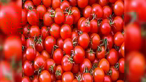 Representative Image