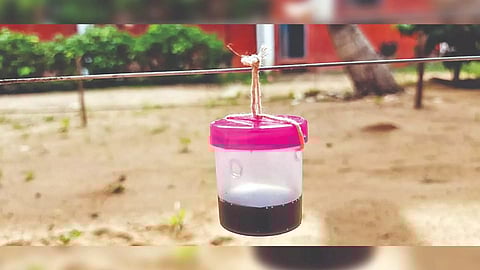 A view of installed wild boar repellent