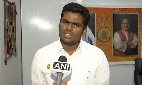 Tamil Nadu BJP leader K Annamalai (ANI)