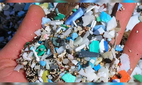 Representative image