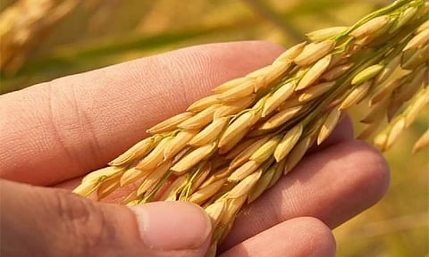 Representative image (File)