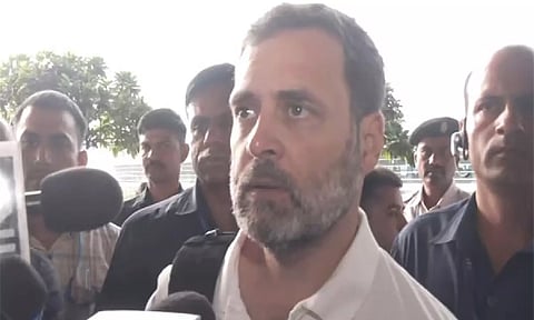 Congress MP Rahul Gandhi (ANI)