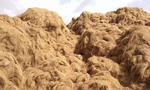 Representative image (Daily Thanthi)