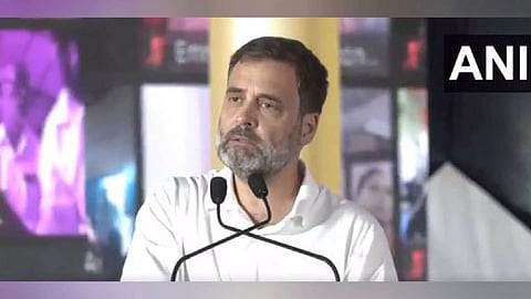 Congress MP Rahul Gandhi (Photo/ANI)