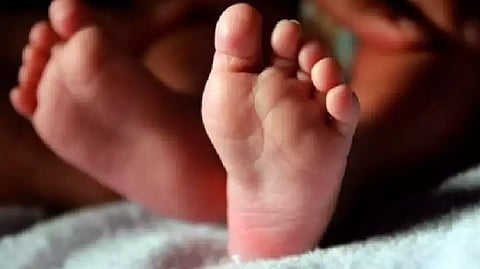 3-year-old dies as bike hits stray cattle near Somangalam on Wednesday