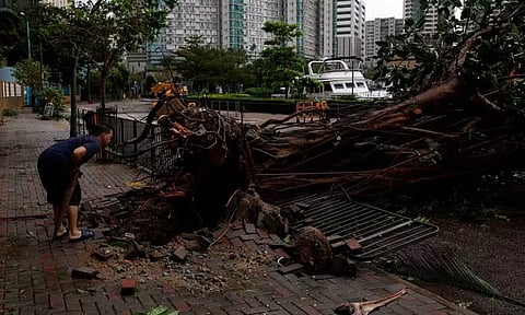 A man looks at fallen trees following Super Typhoon Saola, in Hong Kong. (Reuters)