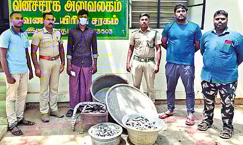 37 kg of sea cucumber seized in Ramnad