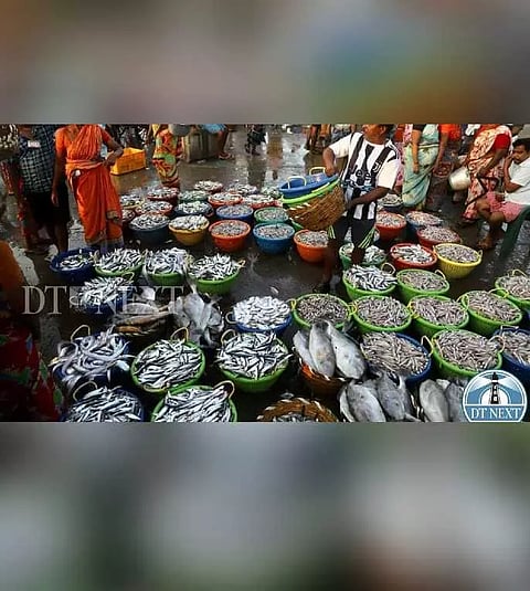 Kasimedu fish market