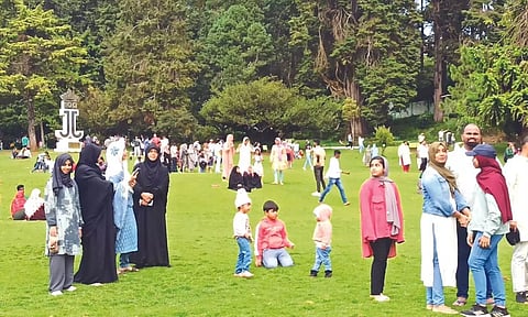 Tourists continue to flock Ooty due to continuous dry spell elsewhere