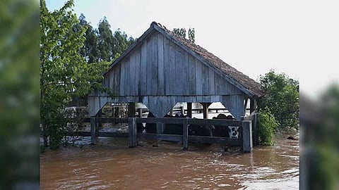 Cattle is seen inside a flooded structure after a cyclone hit southern towns, in Venancio Aires (Photo/Reuters)