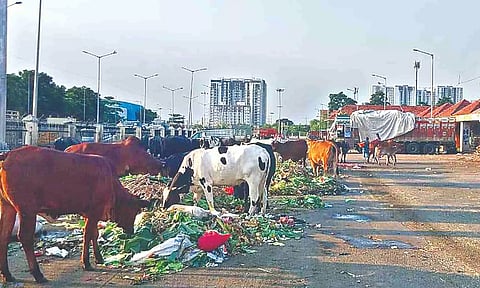 Representative image